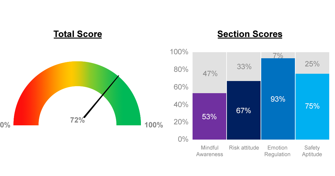 Image 2 mindful safety page v1